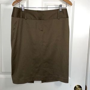 Express Knee Length Skirt